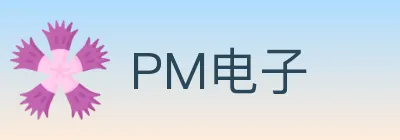 PM电子 logo